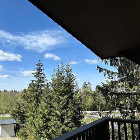 Apartman Pod Smrekom Demaenovska Dolina Exterior foto
