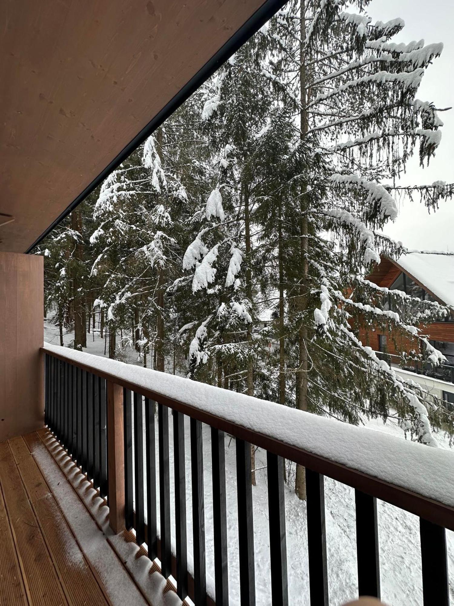 Apartman Pod Smrekom Demaenovska Dolina Exterior foto