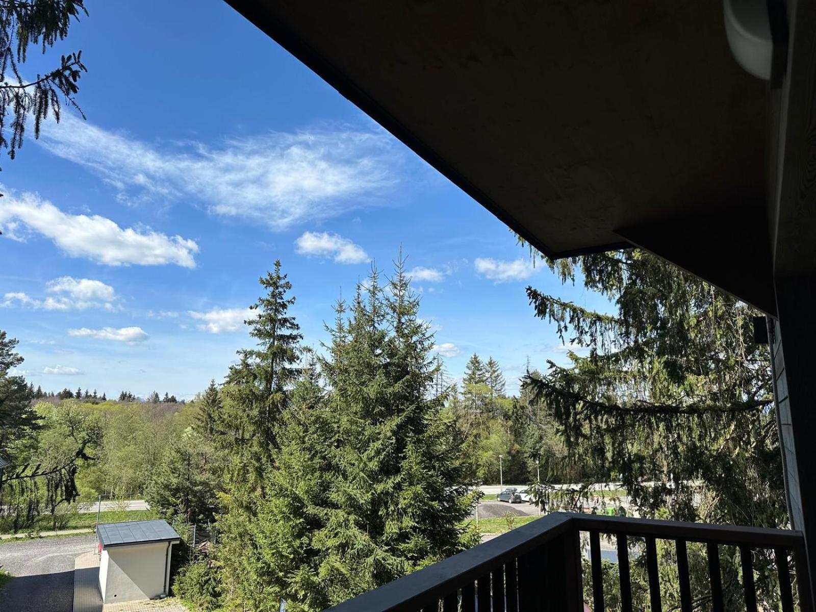Apartman Pod Smrekom Demaenovska Dolina Exterior foto
